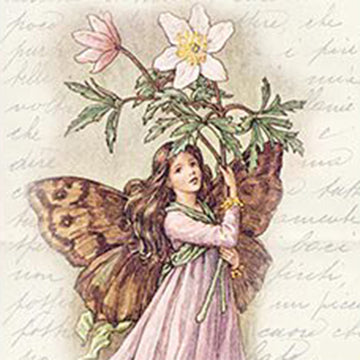 Fairy holding flowers with vintage text background