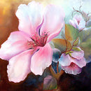 Close-up of a rice paper featuring soft pink watercolor magnolia blooms against a split color background of warm and cool tones.