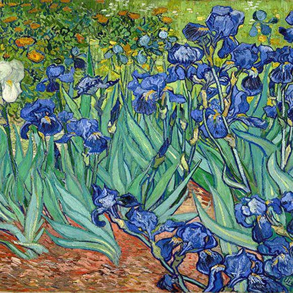 Close-up of a rice paper featuring a painting of a stunning field of blue irises and a single white iris. 