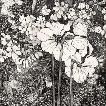 Close-up of a rice paper featuring a beautiful black and white drawing of flowers and foliage.