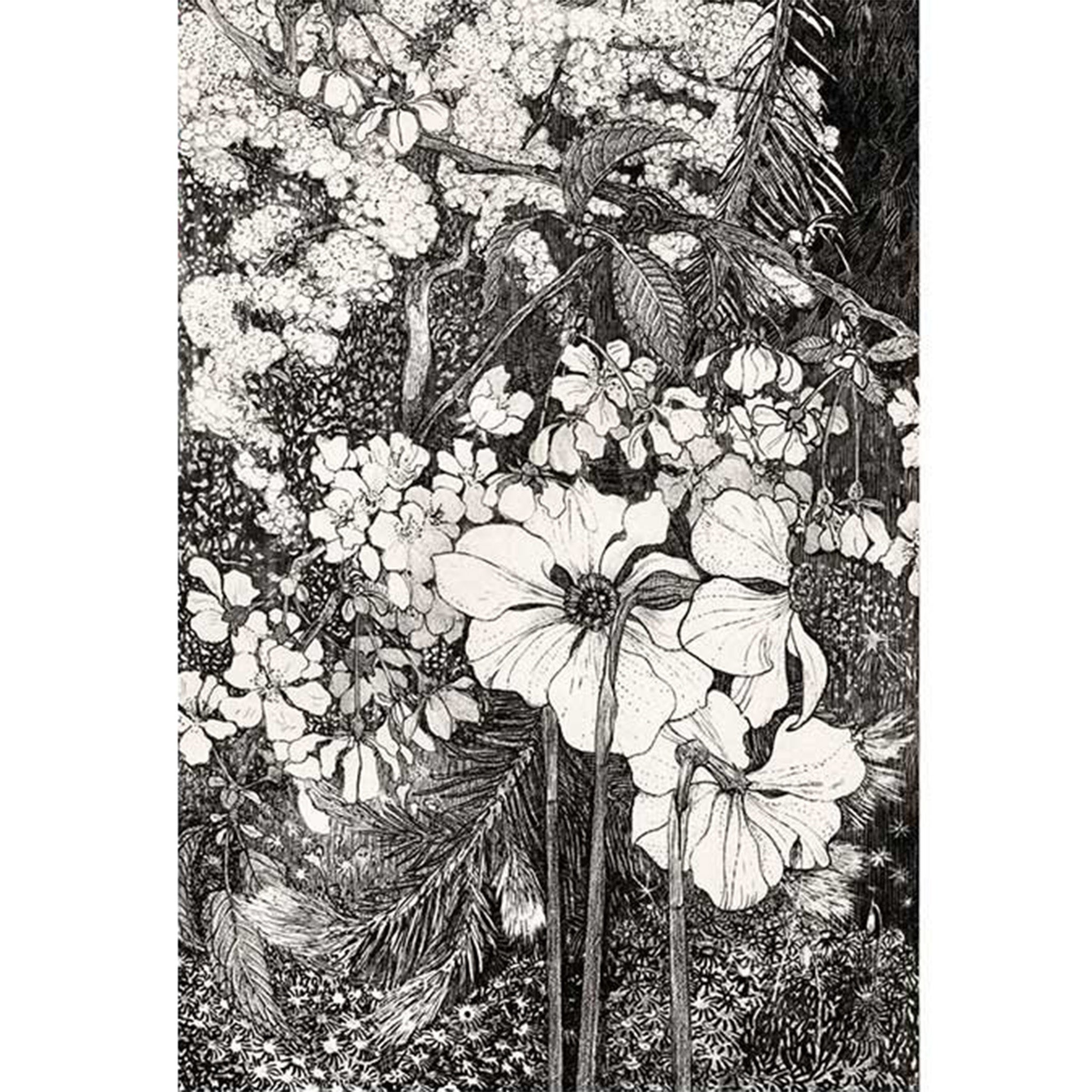 Botanical Whispers A4 Rice Decoupage Paper - 0