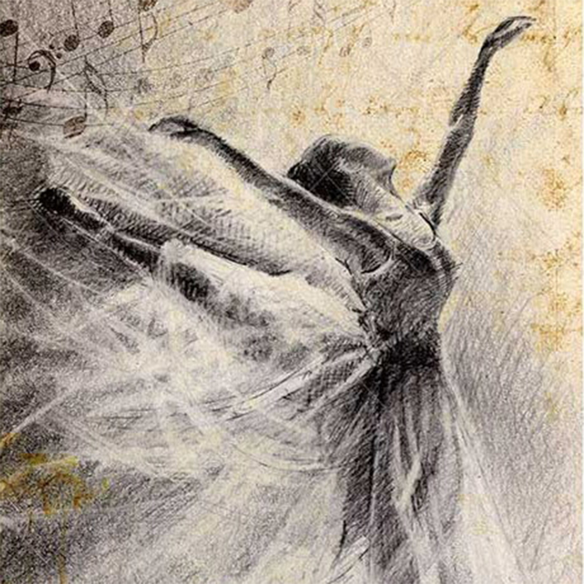 Close-up of a rice paper design featuring a stunning sketch of a ballerina gracefully dancing in front of sheet music.