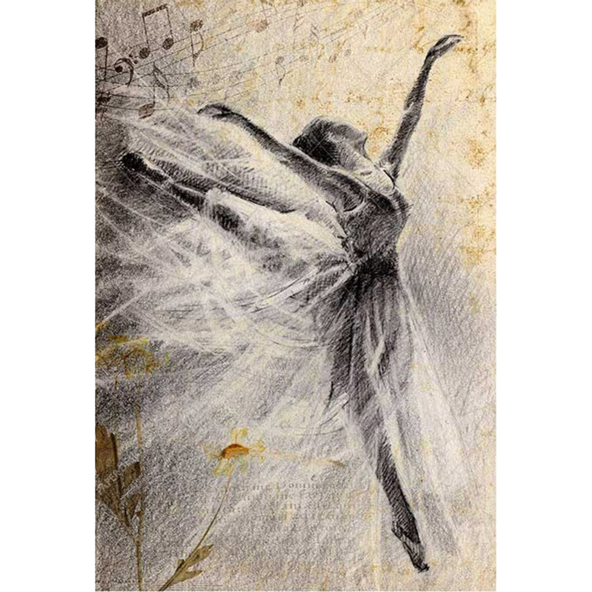 Rice paper design featuring a stunning sketch of a ballerina gracefully dancing in front of sheet music. White borders are on the sides.