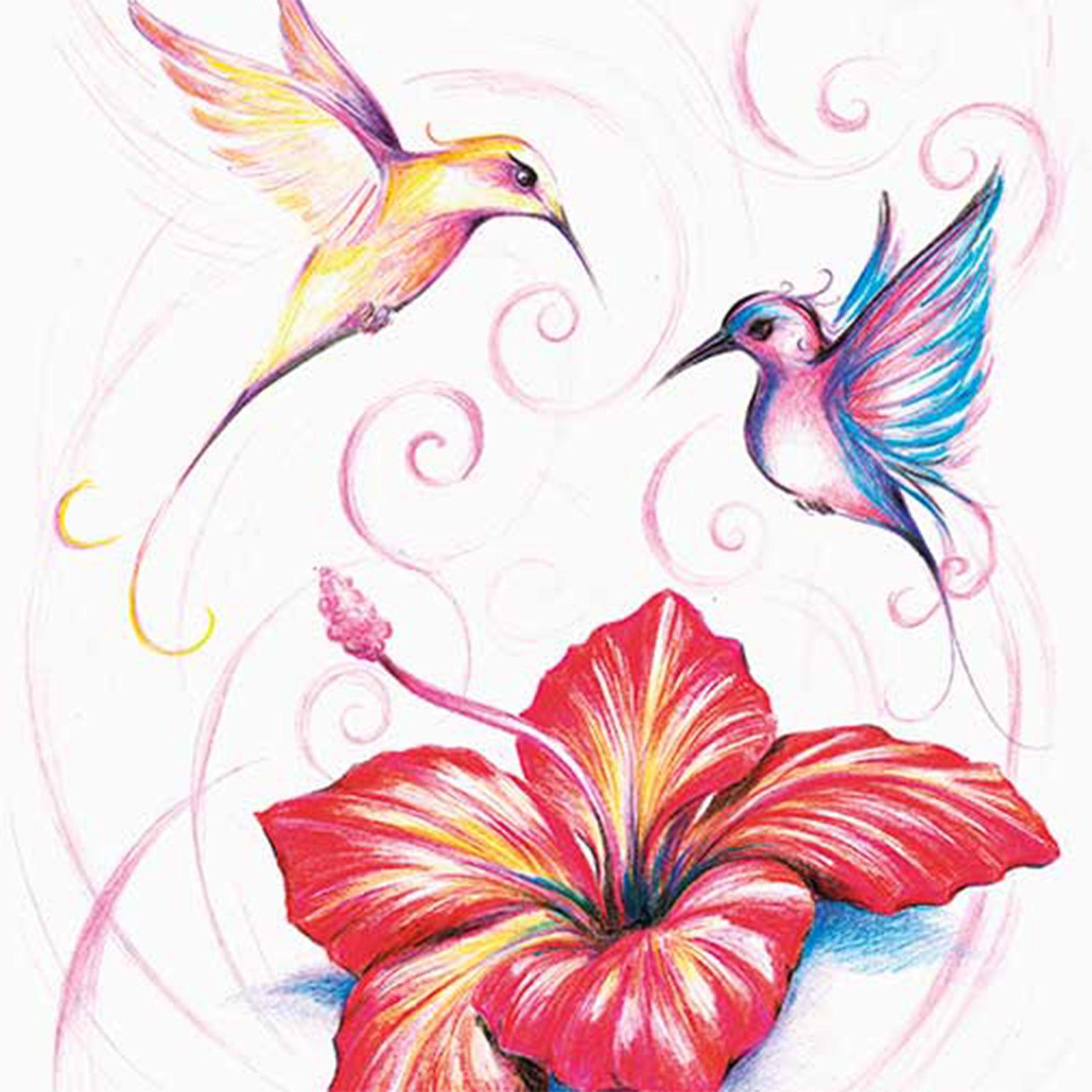 Close-up of a rice paper featuring a colorful drawing of two hummingbirds gracefully hover over a beautiful hibiscus flower.