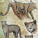 Close-up of a rice paper featuring drawings of leopards against a vintage map.