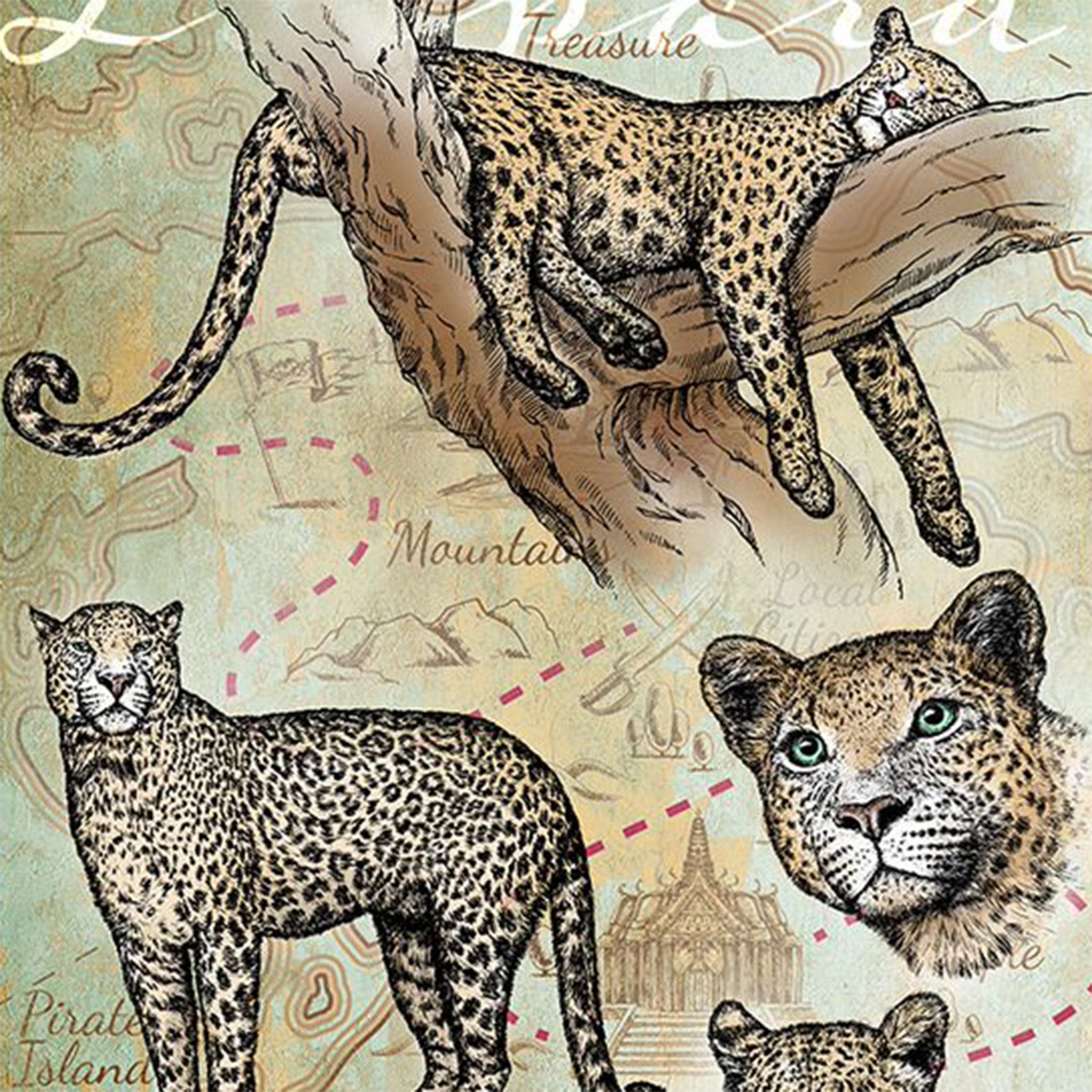 Map of Leopards A4 Rice Decoupage Paper
