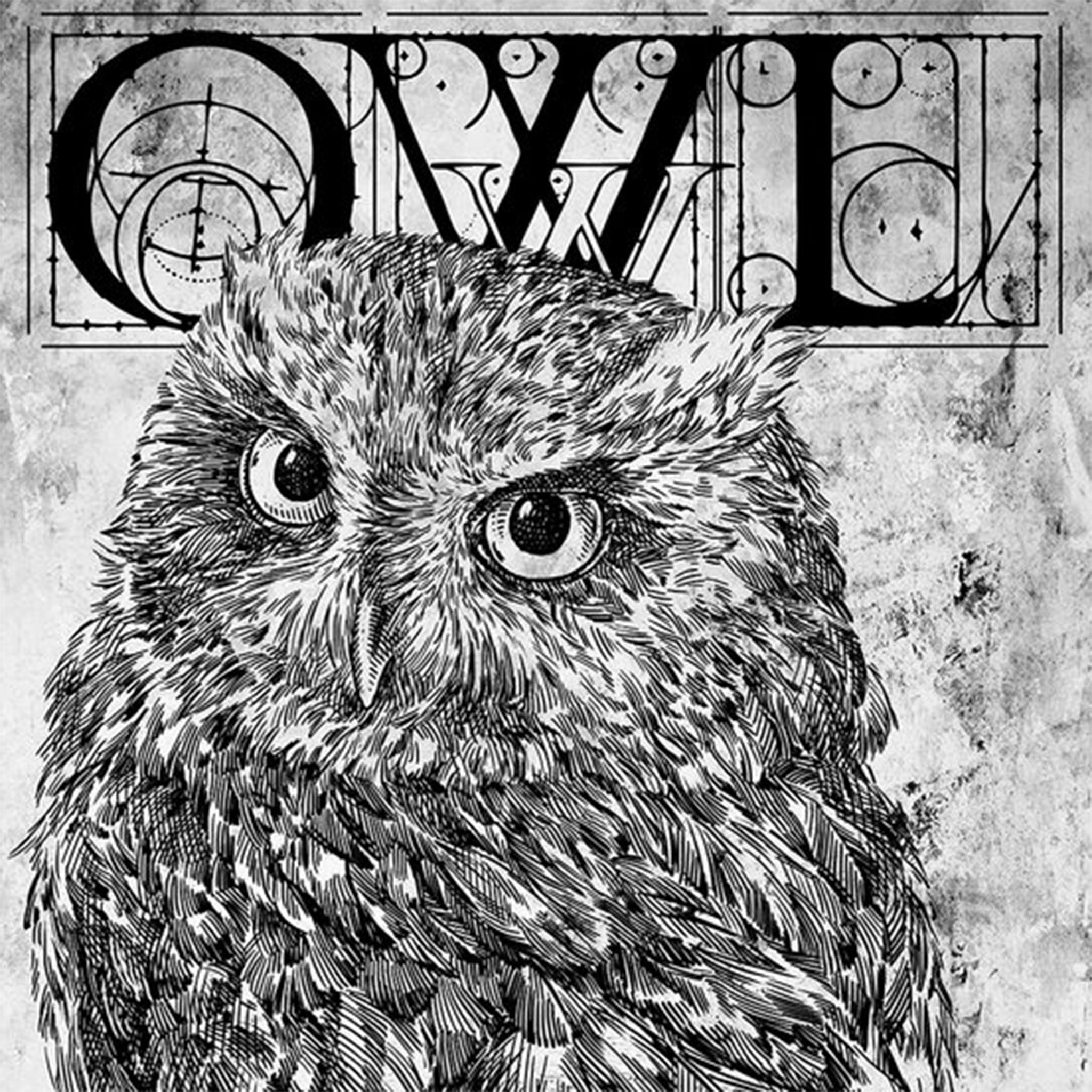 Monochrome Owl A4 Rice Decoupage Paper