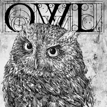 Close-up of a rice paper featuring a black and white image of an owl under ornate letters that spell OWL.