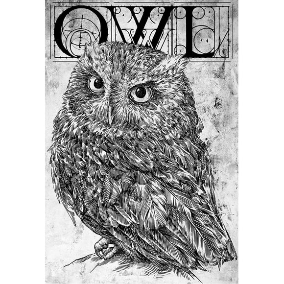 Rice paper featuring a black and white image of an owl under ornate letters that spell OWL.