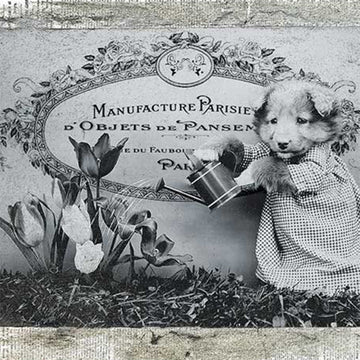 Close-up of a rice paper featuring a vintage newspaper with a French photo of an adorably puppy in a gown, watering can in paw, tending to flowers.