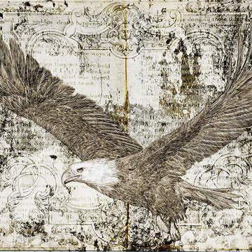 Illustration of an eagle flying against a textured background with text and decorative elements.