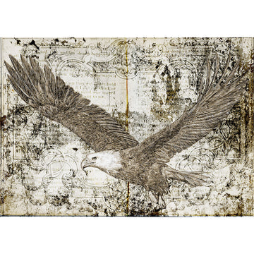 Eagle illustration on a textured background with vintage design elements