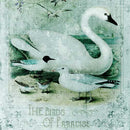 Close-up of a rice paper featuring a blue tinted design with various white birds and draping lavender colored flowers with words at the bottom reading "The Birds Of Paradise".