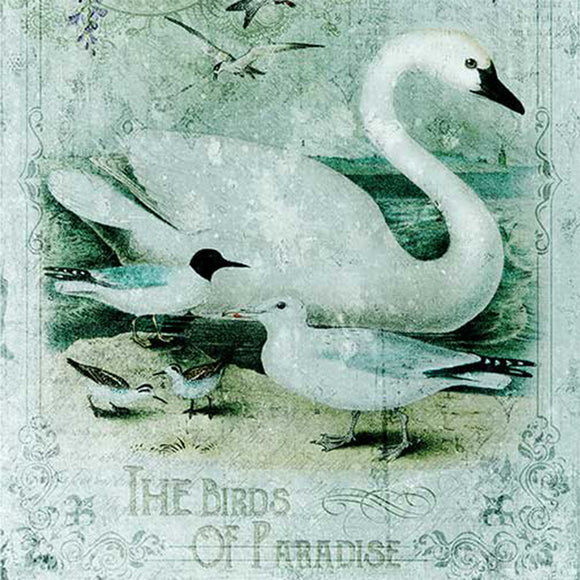 Close-up of a rice paper featuring a blue tinted design with various white birds and draping lavender colored flowers with words at the bottom reading "The Birds Of Paradise".