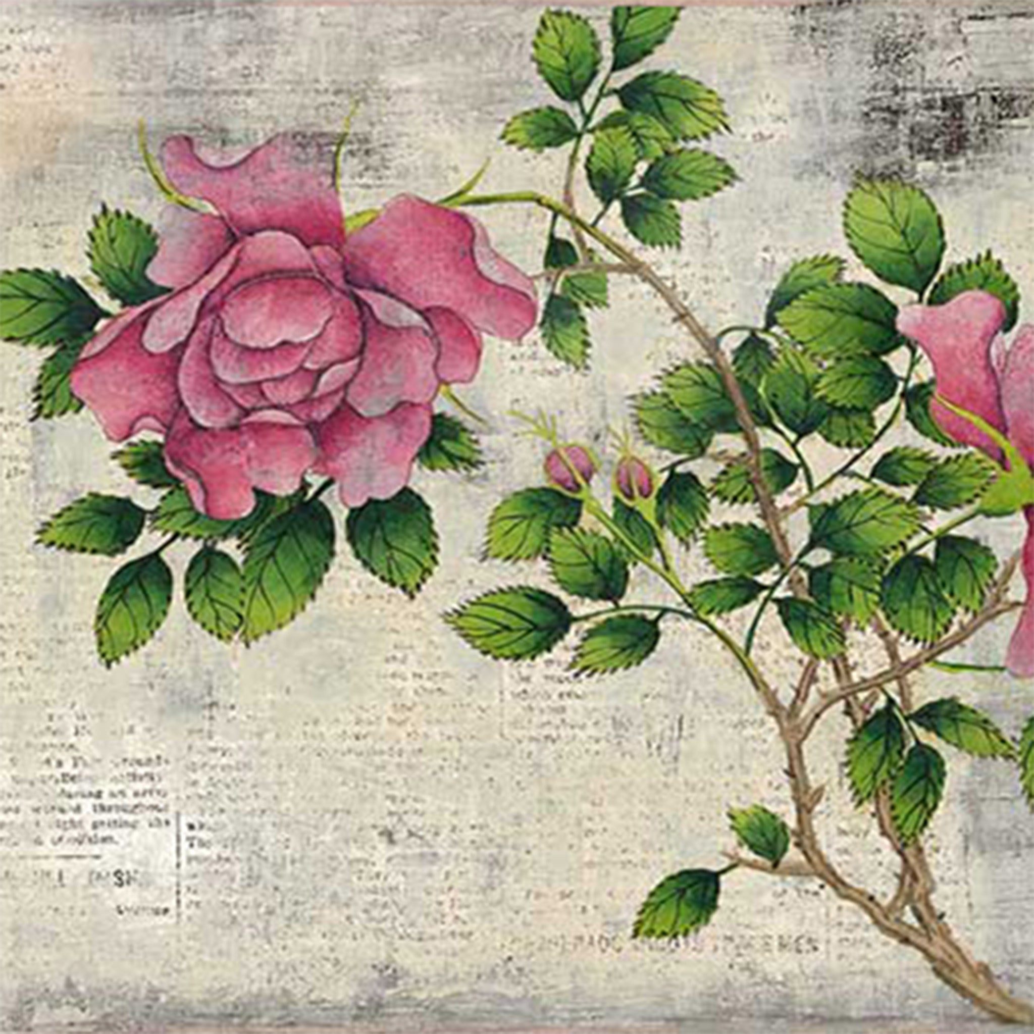 Close-up of a rice paper design features a beautiful rose bush branch design against faded print.