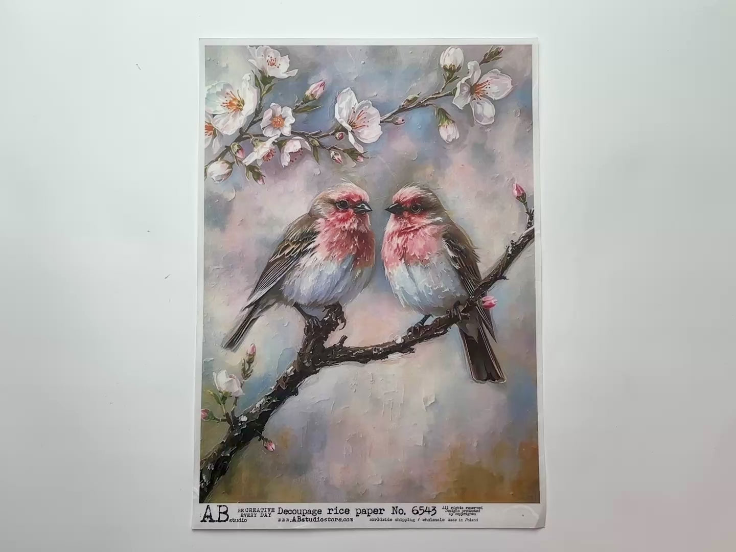 A 13 second video shows a close-up and backside of AB Studio's Cherry Blossom Birds A4 rice paper against a white background.