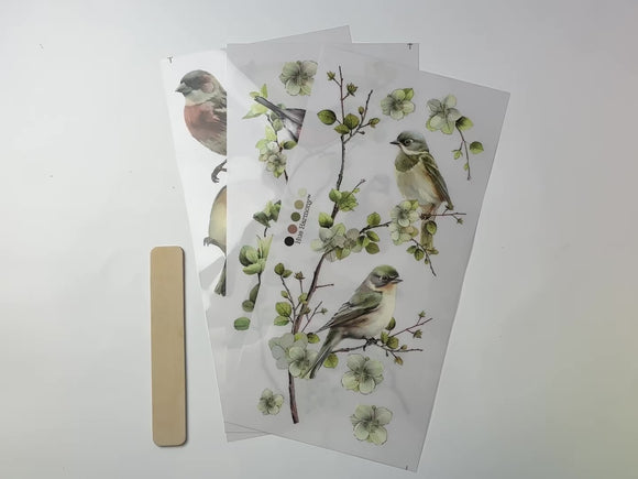 A 14 second video shows a close-up and backside of 3 sheets of ReDesign with Prima's Nestled Whispers small rub-on transfers against a white background.