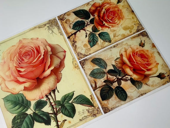 A 14 second video of a close-up and a hand lifting and showing the backside of LaBlanche's Large Rose A4 Plus rice paper against a white background.