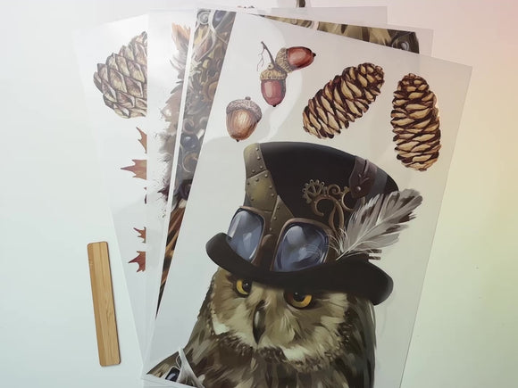 A 15 second video shows a close-up of 4 sheets of Belles & Whistles' Steampunk Owl Adventure rub-on transfer against a white background.