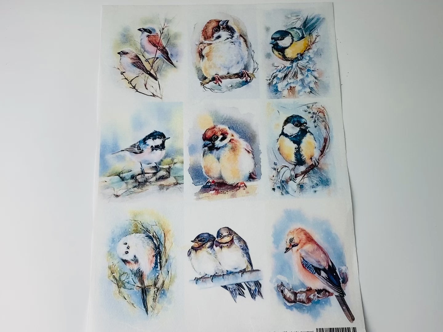 Watercolor Birds (9 Pack) A4 Rice Decoupage Paper-3