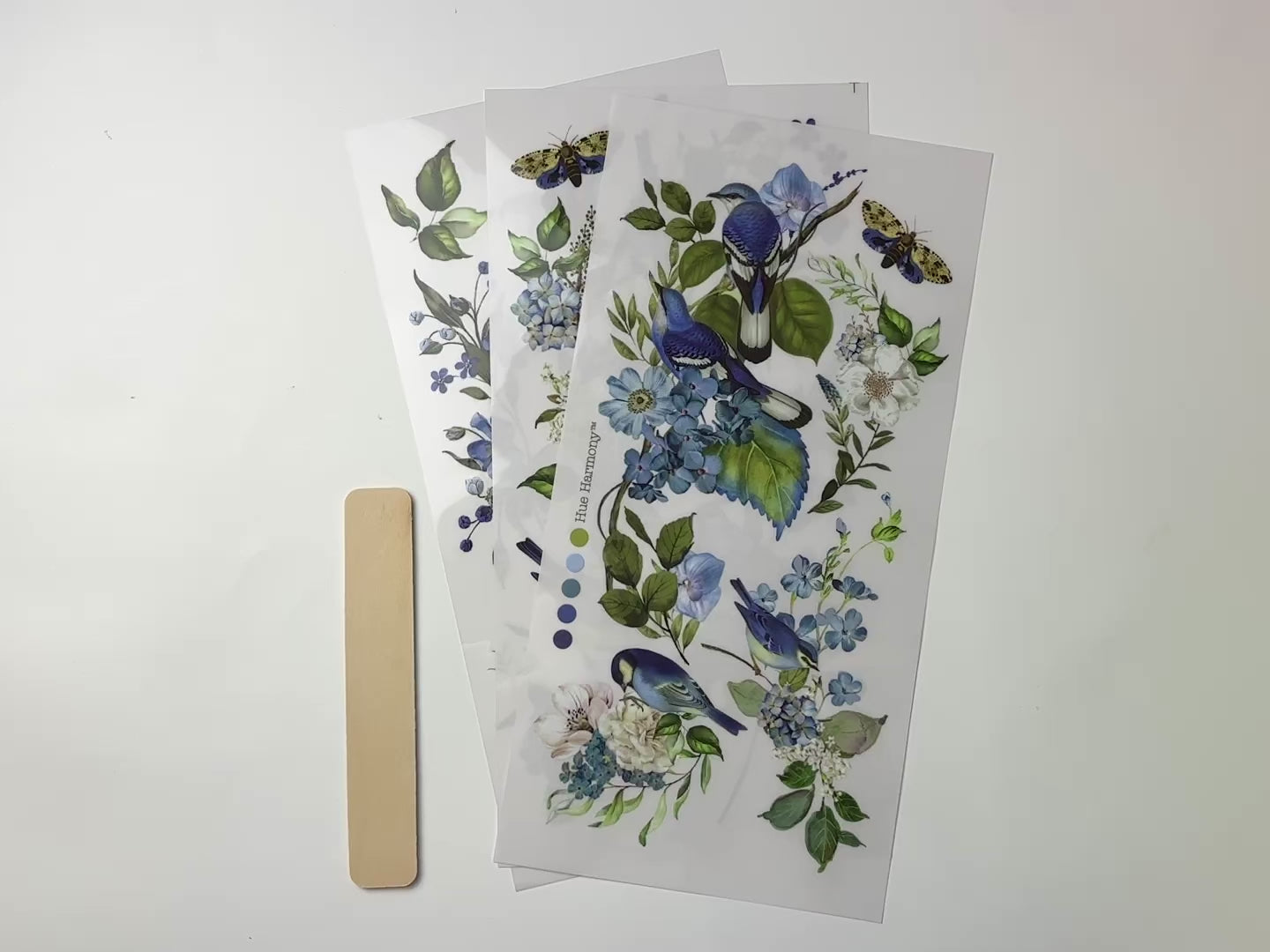 A 14 second video shows a close-up and backside of three sheets of ReDesign with Prima's Garden Whispers small rub-on transfers against a white background.