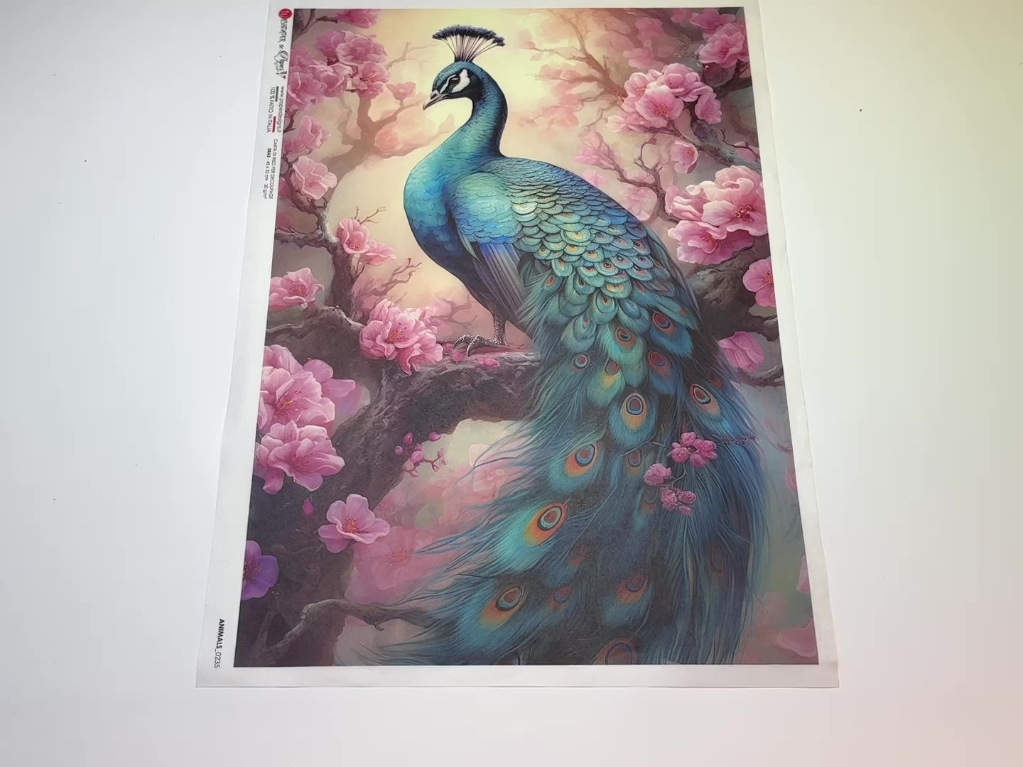 A 14 second video of a close-up and backside of Decoupage Queen's Bright Floral Peacock A3 rice paper is against a white background.
