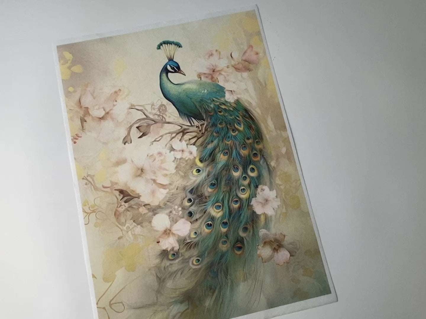 An 11 second video of a hand holding and lifting Decoupage Queen's Dreamscape Peacock A4 Plus rice sheet is against a white background.
