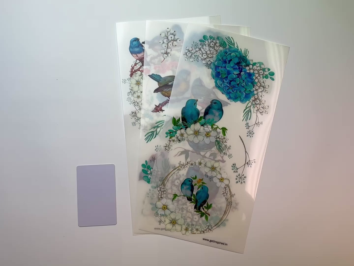 A 15 second video shows a close-up and backside of 3 sheets of Dadarkar Art's Get Inspired Hydrangea Bliss rub-on transfers against a white background.