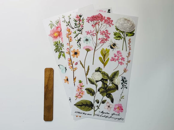 A 15 second video shows a close-up of 3 sheets of ReDesign with Prima's Botanical Paradise small transfer.