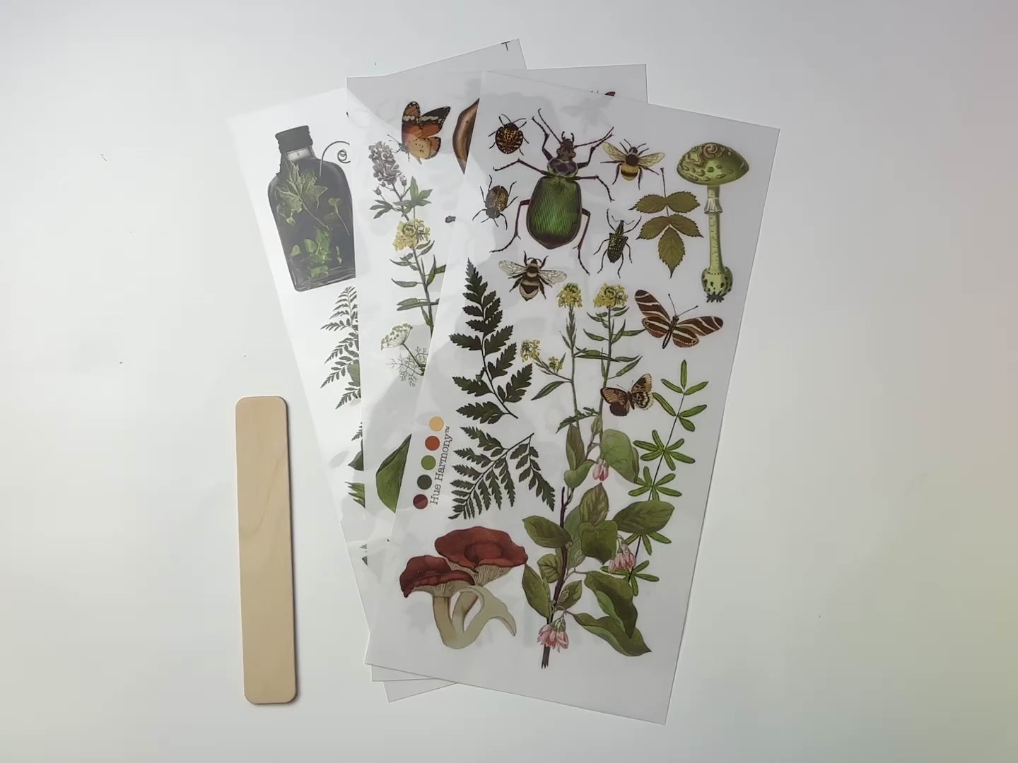 A 14 second video shows a close-up and backside of 3 sheets of ReDesign with Prima's Botanical Archives small rub-on transfers against a white background.