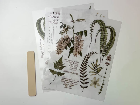 A 15 second video shows a close-up and backside of ReDesign with Prima's Greenery Grace small rub-on transfers against a white background.