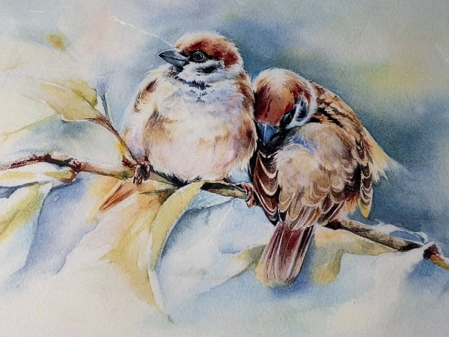 An 11 second video lifting and gentle folding the top left corner of AB Studio's Watercolor Pair of Birds A4 rice paper against a white background.