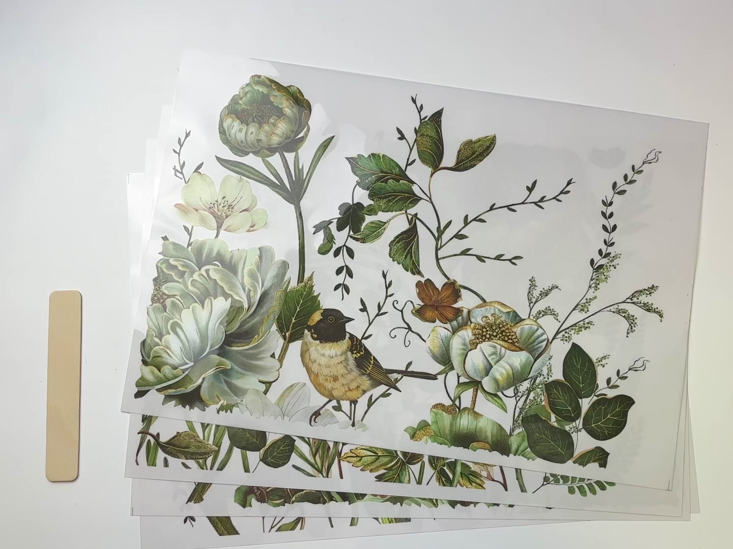 A 14 second video shows a close-up and backside of 4 sheets of ReDesign with Prima's Botanical Journal rub-on furniture transfers against a white background.