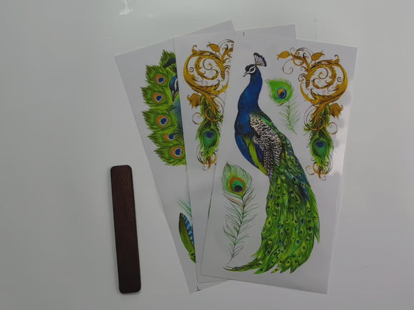 A 15 second video shows a close-up of 3 sheets of ReDesign with Prima's Peacock Paradise small rub-on transfer.