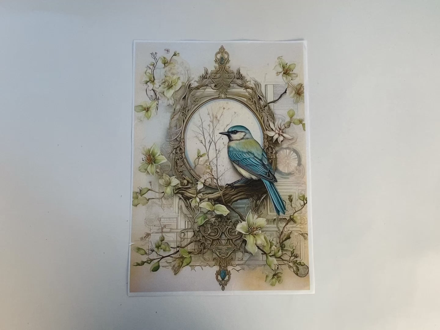 Blue Bird In A Frame A4 Plus Rice Decoupage Paper - Limited Edition-3