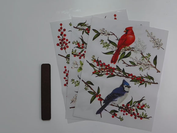 A 14 second video shows a close-up of 3 sheets of ReDesign with Prima's Winterberry middy transfer.