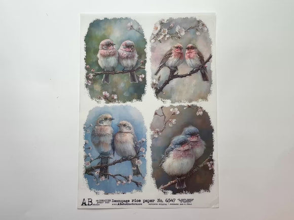 A 14 second video shows a close-up and backside of AB Studio's Four Pastel Birds A4 rice paper against a white background.