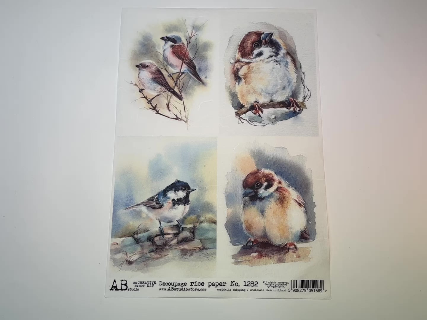 A 14 second video of a close-up and backside of AB Studio's Watercolor Birds 4 Pack A4 rice paper is against a white background.