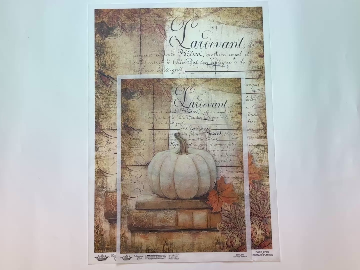 Decoupage Queen - Cottage Pumpkin #1 Decoupage Paper (A4 & A3 Sizes)-3