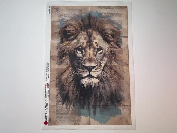 A 14 second video shows a close-up and backside of Paper Designs Italy's Noble Lion rice paper against a white background.