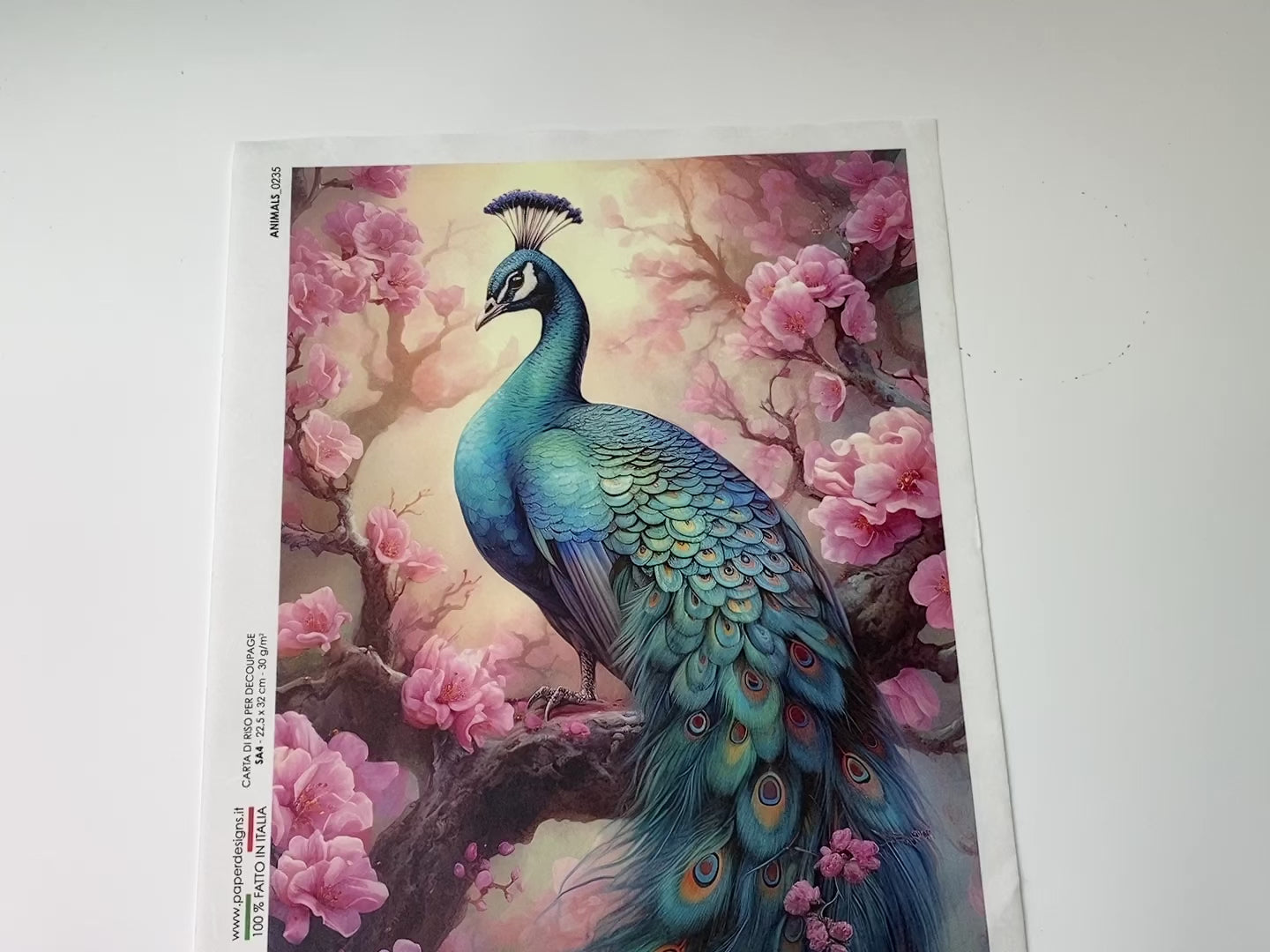 A 13 second video shows a close-up and hand lifting and folding over the top left corner to show the backside of Paper Designs Italy's Bright Floral Peacock decoupage paper against a white background.