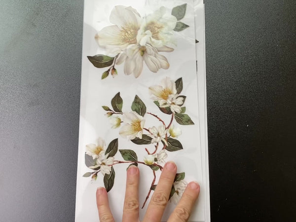 A short 13 second video of a hand spreading out all 3 sheets of ReDesign with Prima's White Magnolia Small Transfer on a dark grey table. The hand lifts a corner of the transfer sheet to show the design is attached to a clear acetate sheet layer and not the white paper background.