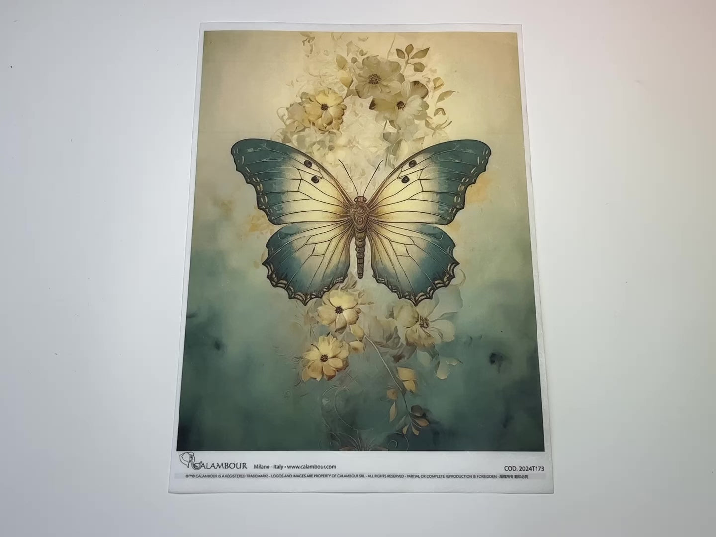 A 13 second video shows a close-up and backside of Calambour Italy's Dreamscape Large Butterfly rice paper against a white background.