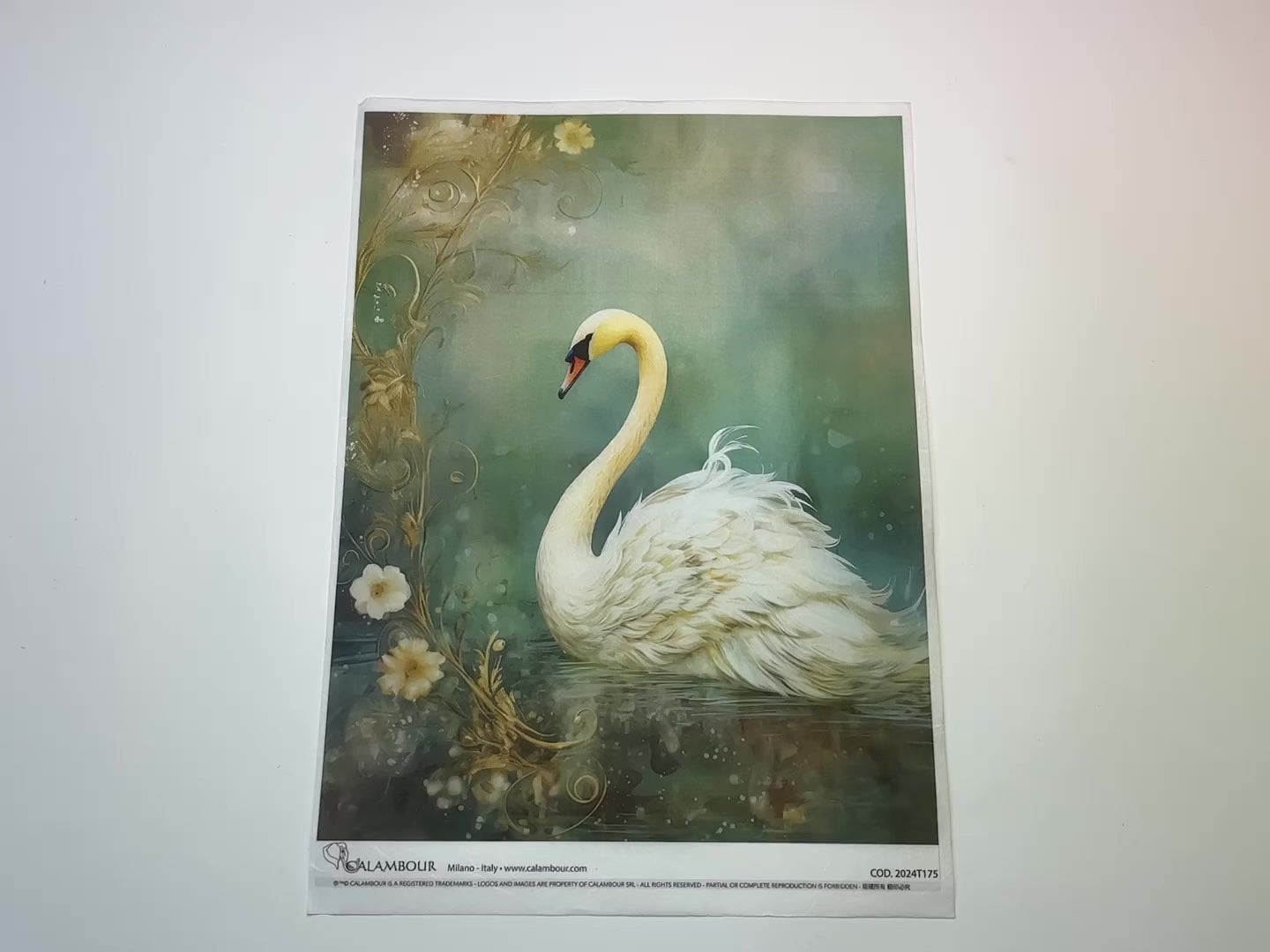 A 12 second video of a close-up and backside of Calambour Italy's Dreamscape Swan A4 rice paper is against a white background.