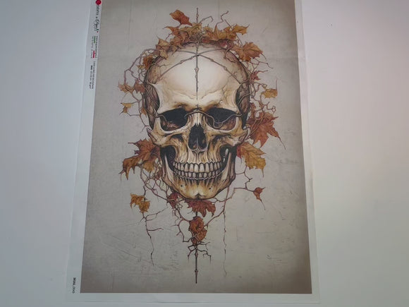 A 14 second video shows a close-up and backside of Paper Designs Italy's Skull Covered in Leaves A3 rice paper.