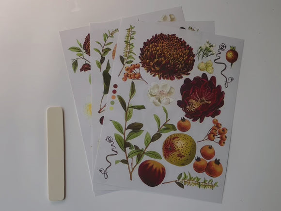 A 15 second video shows a close-up of 3 sheets of ReDesign with Prima's Seasonal Splendor small rub-on transfer.