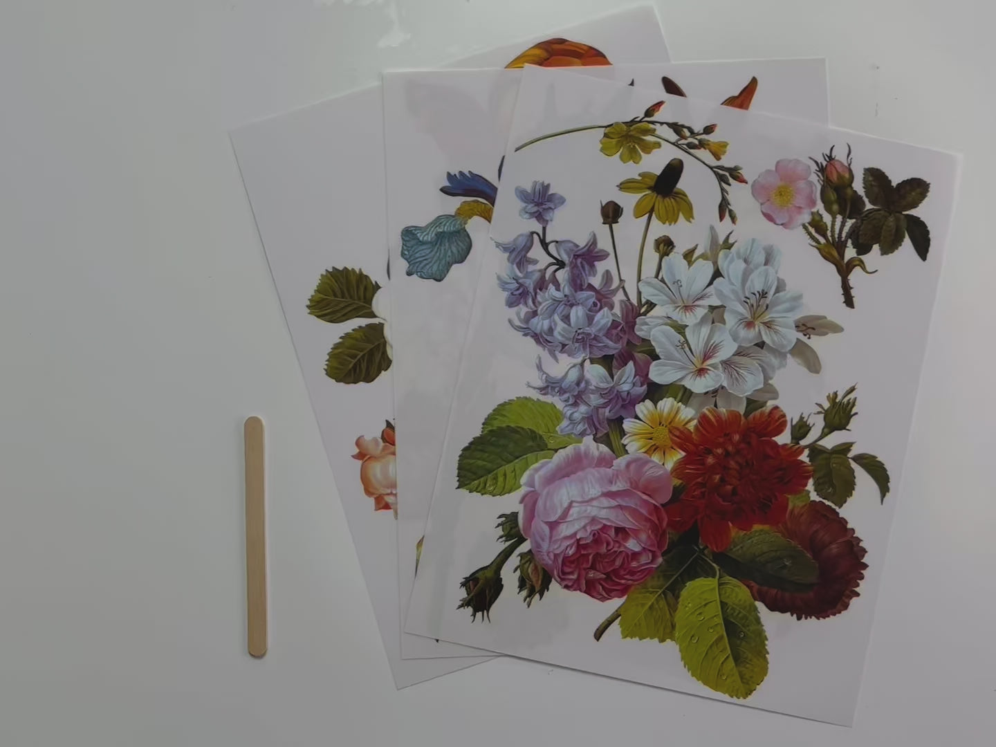 A 15 second video shows a close-up of 3 sheets of ReDesign with Prima's Blossomed Beauties middy transfer.