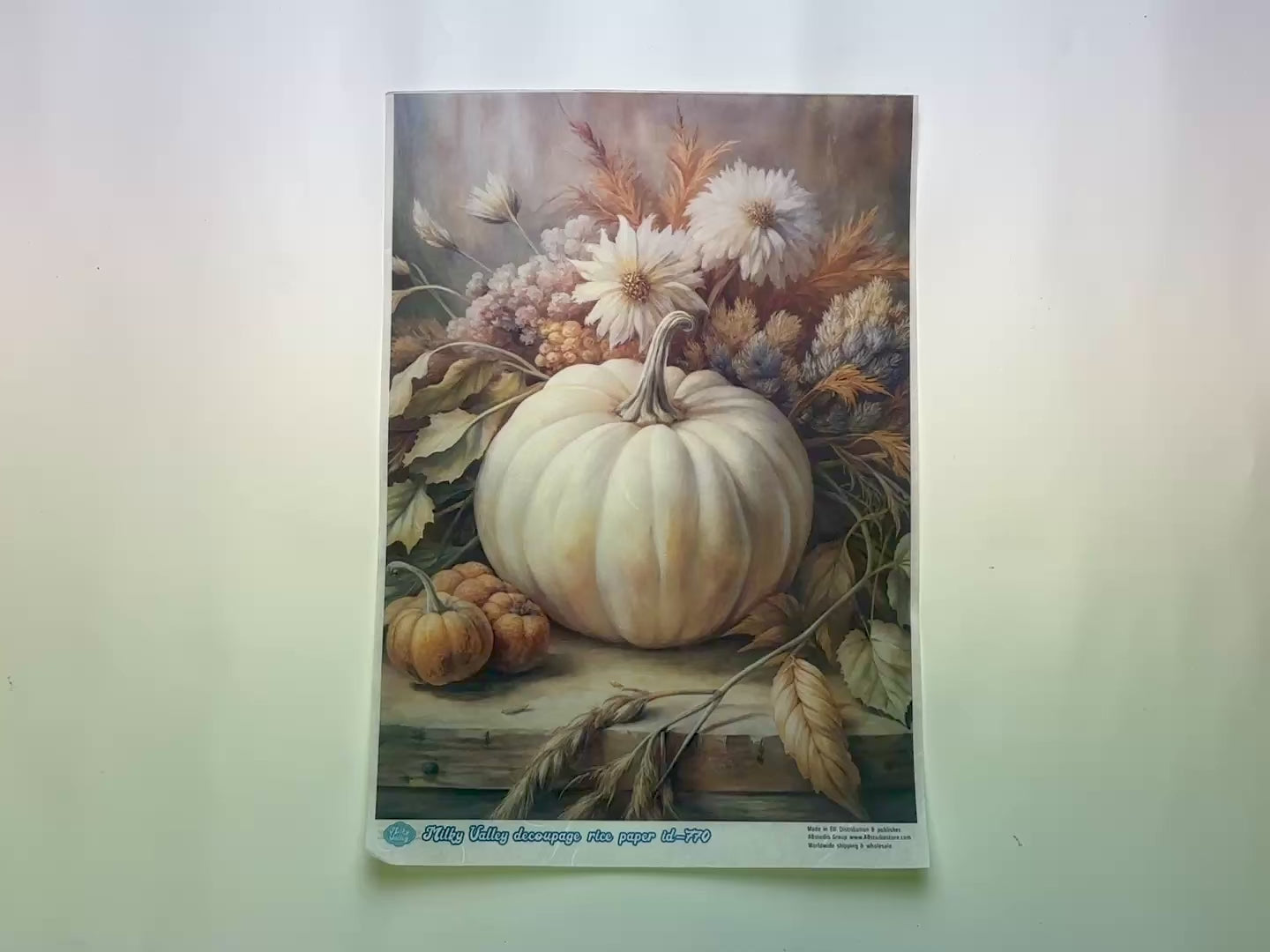 AB Studio - White Pumpkin Harvest Decoupage Paper (A4 Size)-6
