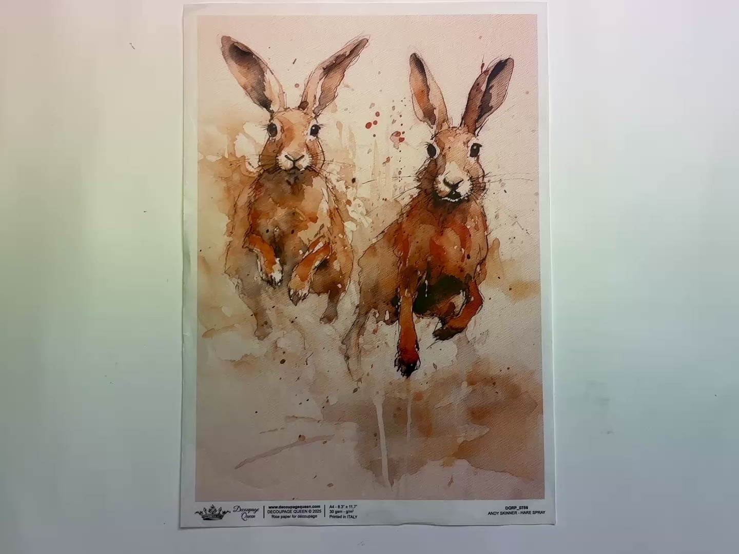 A 13 second video shows a close-up and backside of Decoupage Queen's Hare Spray A4 rice paper against a white background.