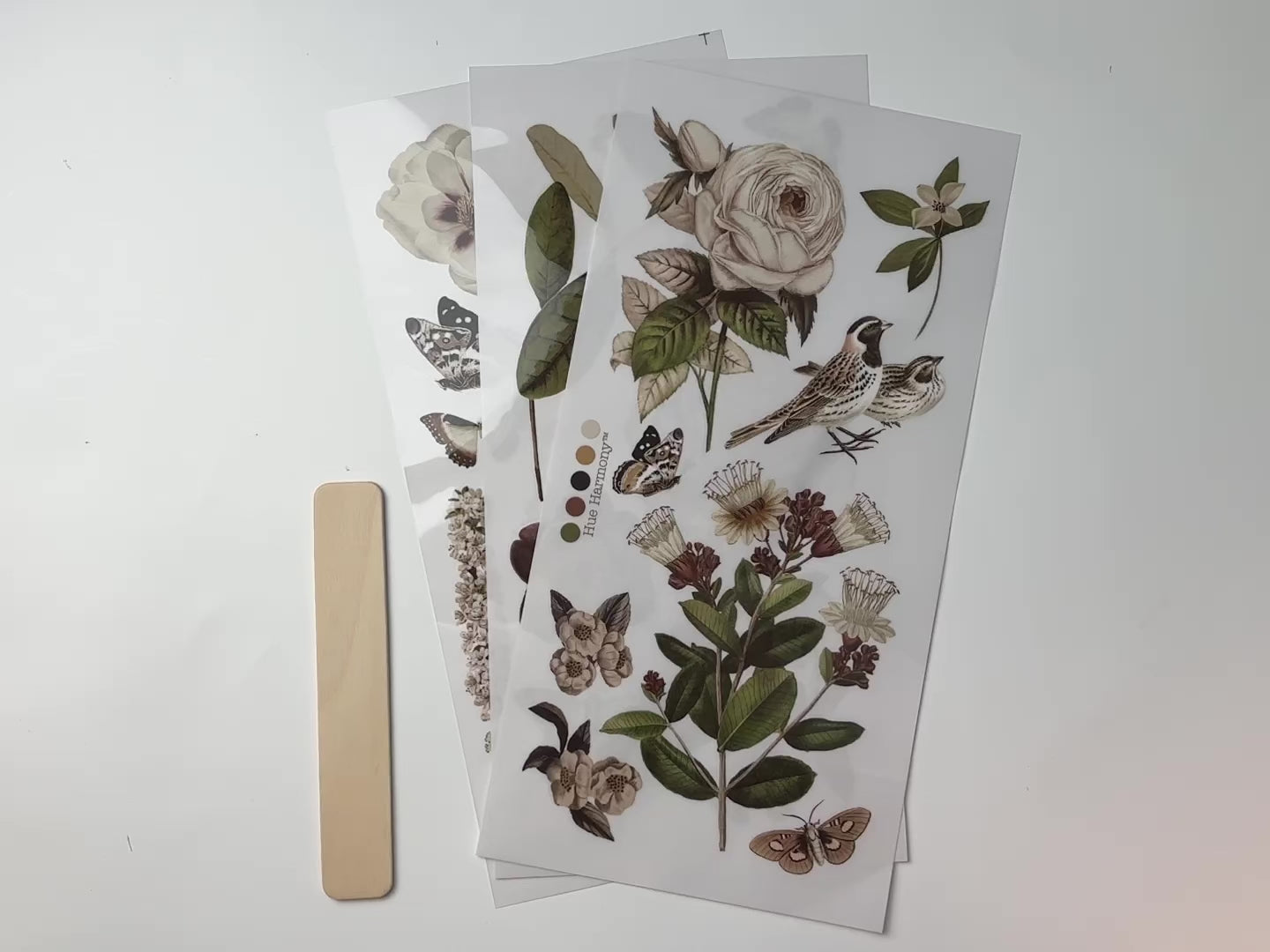 A 14 second video shows a close-up and backside of 3 sheets of ReDesign with Prima's Secret Garden small rubon transfers against a white background.